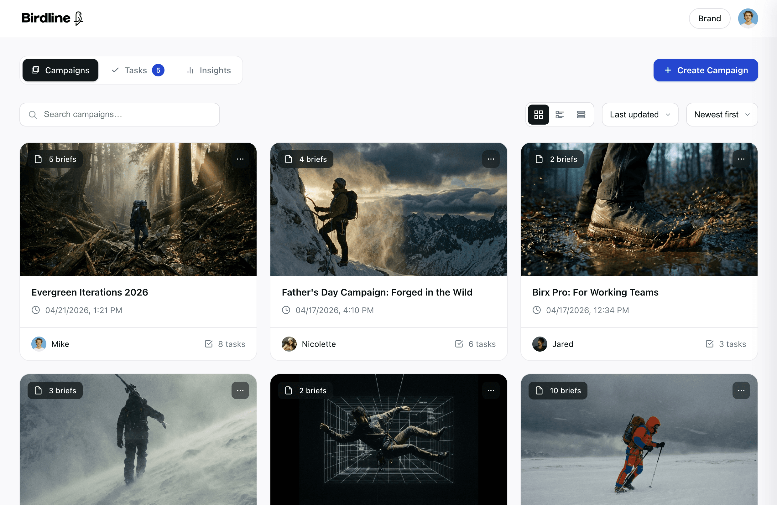 Birdline Dashboard UI